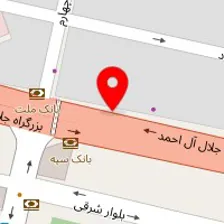 دکتر امیرحسین کامبوزیا