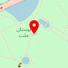 دکتر علی رفیعی