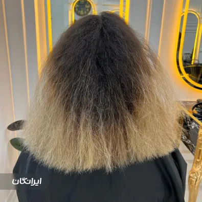 سالن احیا مو مائده زارع