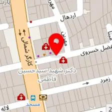 دکتر فرشته امینی