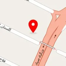 روانشناس نرگس مومنی نکو