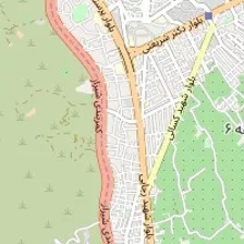 دکتر فاطمه قائدی