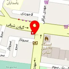 روانشناس نرگس صمدی