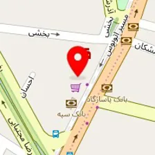 دکتر الناز عسکری