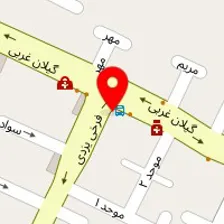 دکتر استیره مولودی