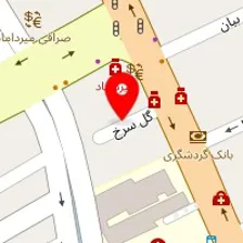 دکتر سهیلا حسینیان