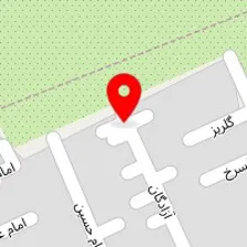 دکتر افسر احمدی