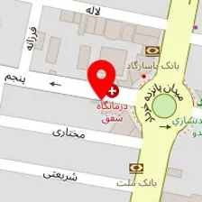 دکتر فریده اسمعیل بیگی