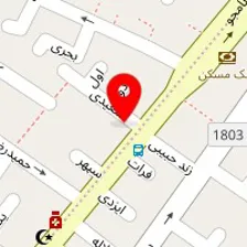 دکتر مهرناز فرزادمنش