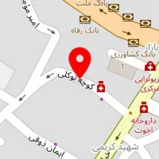 دکتر فائقه تیره دست