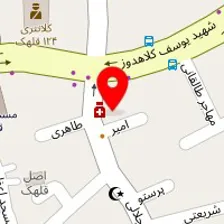 دکتر نسرین گودرزی