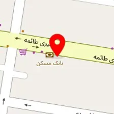 دکتر شایسته موسوی