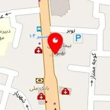 دکتر مسعود حسنی علوی