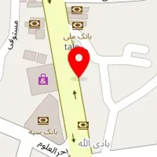 دکتر فاطمه ربیع پور