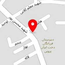 دکتر محبوبه نبوی