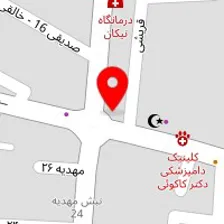 روانشناس سمیرا نژادنادری