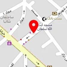 روانشناس امیرعلی چگینی