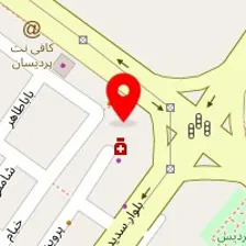 دکتر فروغ نقیبی