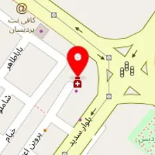 روانشناس الهه شنگی پور