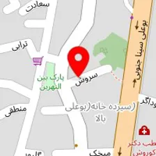 روانشناس بیریوان پاک سرشت