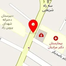 روانشناس ندا محمدی