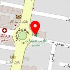 دکتر فضل اله خاموشی