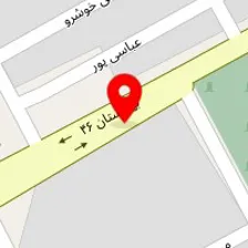 دکتر شهلا شوکت پور