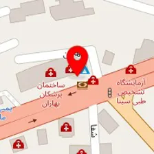 دکتر فاطمه طباطبایی