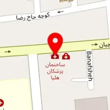 دکتر شهلا دانایی