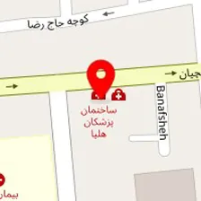 دکتر نازلی نوالی