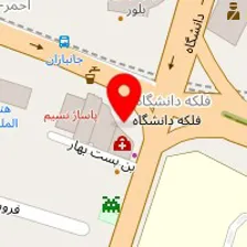 دکتر عارفه فکور