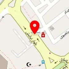 دکتر شیرین علیزاده