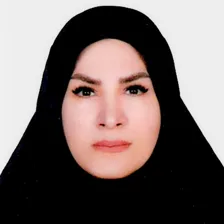 وکیل بنفشه کرکودی