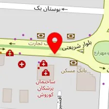 دکتر لیلا پورسینا