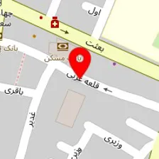 دکتر زهرا معین