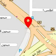 دکتر رضیه طباطبایی