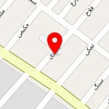 دکتر شهلا رشیقی