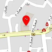 دکتر سالومه پیوندی