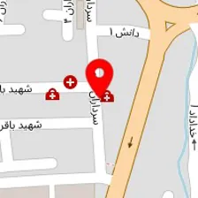 دکتر آذر نباتی