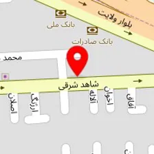 دکتر سارا میرپنجی