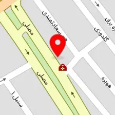 دکتر نرگس امینی پور