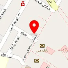 دکتر فریبا محمودزاده