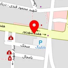 دکتر بهجت حسینی