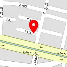 دکتر نسیم علاقمند