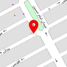 دکتر رویا نشاط