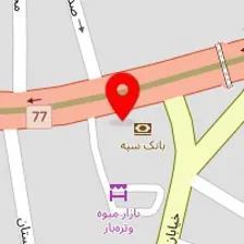 دکتر مریم صفدری