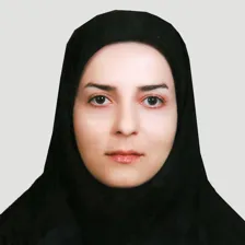 وکیل الهام سلیمانی