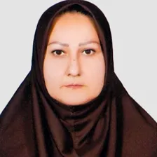 وکیل میترا صابر