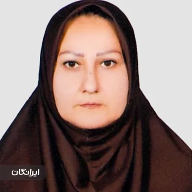 وکیل میترا صابر