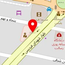 دکتر شهین محمدی